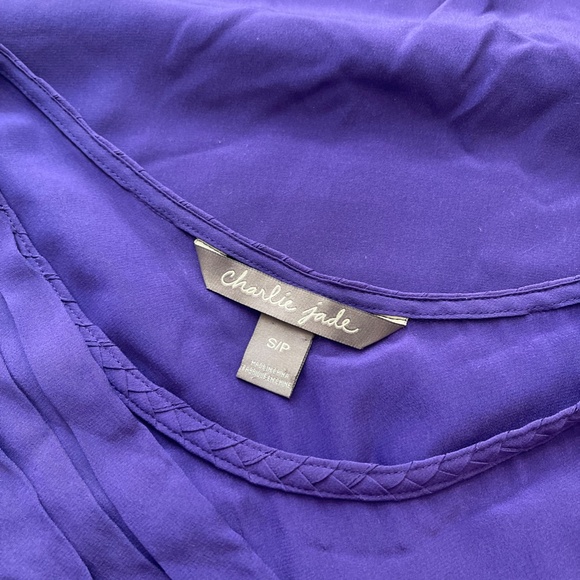 Charlie Jade - One Spaghetti Strap Asymmetrical Silk Dress Women's Size SP - Picture 4 of 9